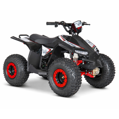 ATV Midi PRO Sport Elektro-Quad 1200 W 48 V bis 38 km/h LED 
