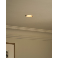 Buxton Feuerbeständiger Verstellbarer Deckenstrahler (5