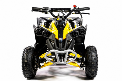 Miniquad 49 ccm 2-Takt Kinder-ATV 45 km/h Scheibenbremsen 1